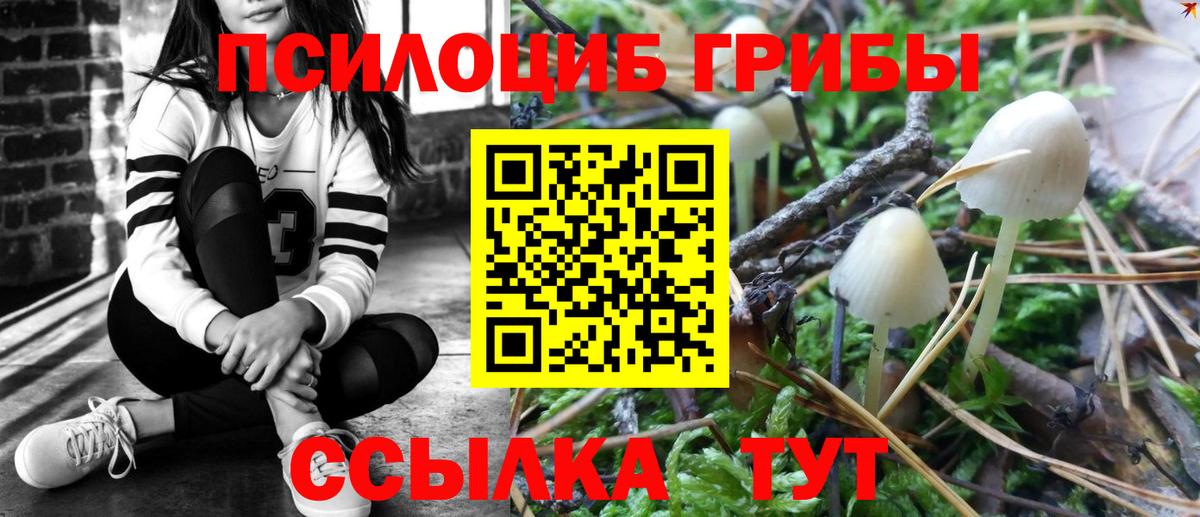 как найти наркотики  Вход с VPN  Осинники  Псилоцибиновые грибы Psilocybine cubensis 