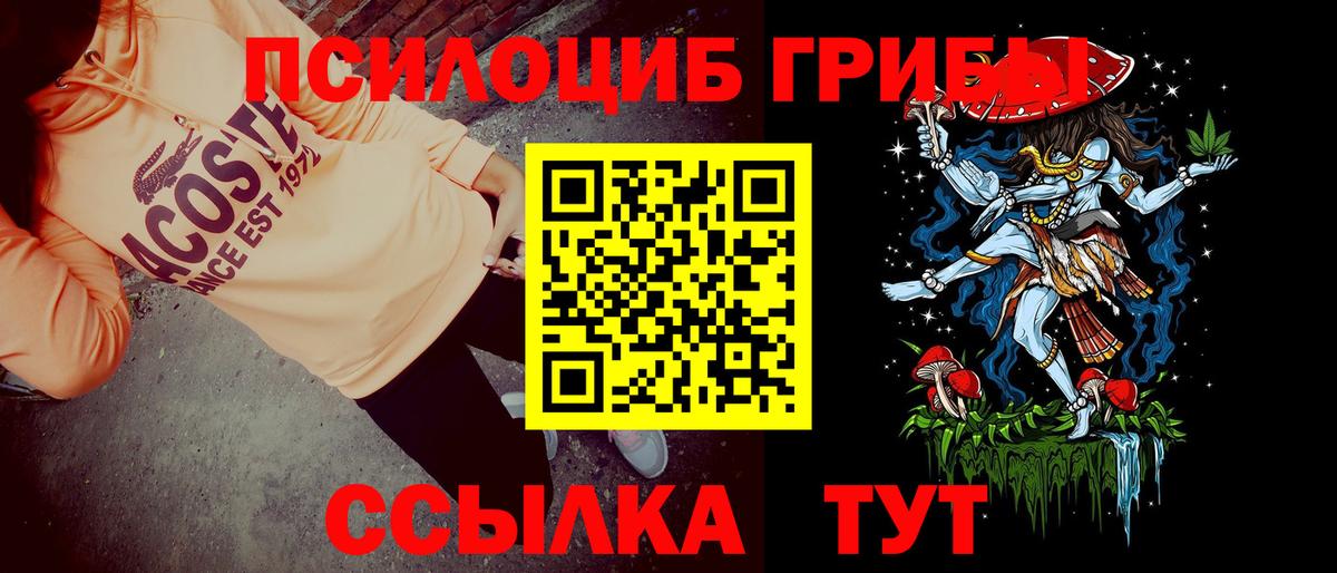 Галлюциногенные грибы MAGIC MUSHROOMS Осинники